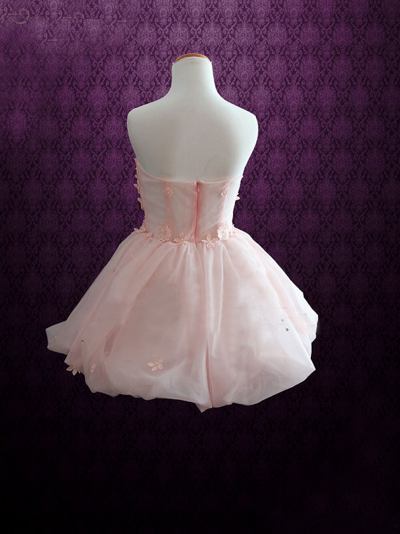 Elegant A line Long Sleeves Short Organza Homecoming Dress 20th Birthday Outfits C656 main image 1